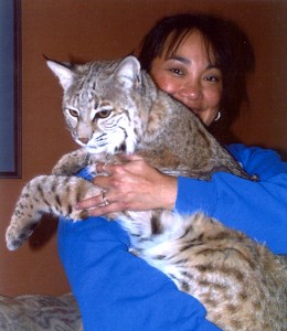 Ramona and Big Bobby my Bobcat